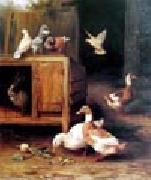 unknow artist Duck and Pigeon oil painting picture wholesale